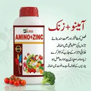 Amino Zinc fertilizer in Pakistan – Al Raza premium liquid amino acid and zinc micronutrient for stronger crops, better root strength and higher yield