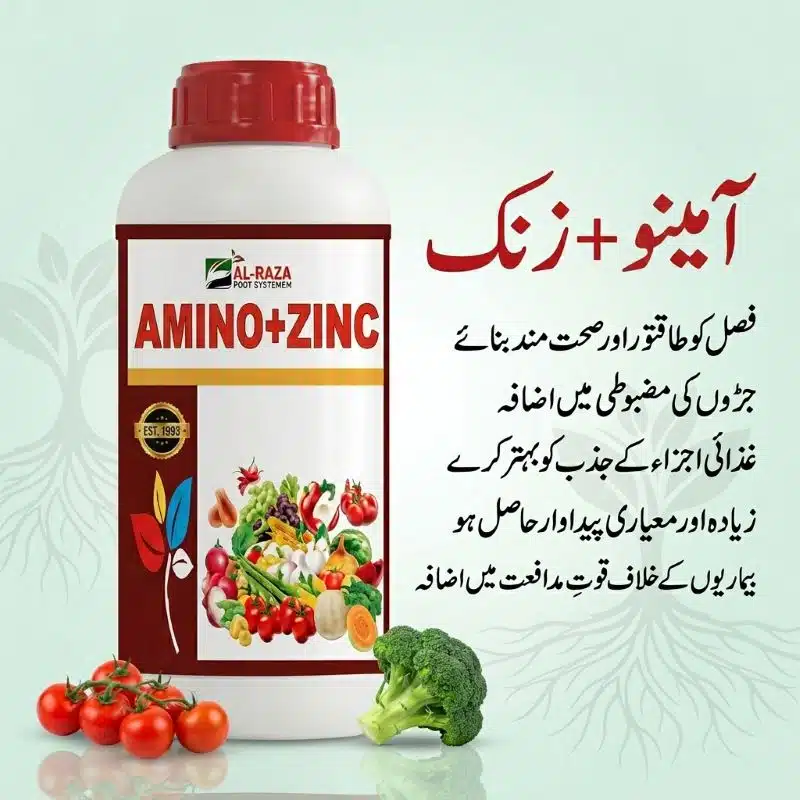 Amino Zinc Fertilizer in Pakistan โ Liquid Zinc and Amino Acid for Healthy Crops 3 Amino Zinc fertilizer in Pakistan โ Al Raza premium liquid amino acid and zinc micronutrient for stronger crops, better root strength and higher yield