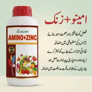 Homepage 18 Results of Amino Zinc fertilizer in Pakistan – stronger roots, better nutrient absorption, higher yield and strong disease immunity in vegetables and fruit crops