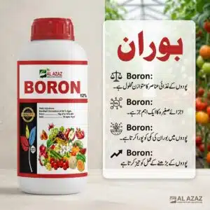 Boron fertilizer in Pakistan – Al Azaz 12% liquid boron micronutrient by Al Raza Crop Sciences for correcting boron deficiency and boosting crop yield