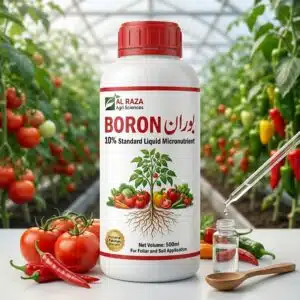 Homepage 6 Results of liquid boron fertilizer in Pakistan – better pollination, improved flowering, stronger fruit setting in vegetables tomatoes and orchards
