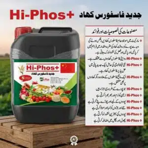Hi-Phos+ liquid phosphorus fertilizer in Pakistan – advanced water-soluble phosphorus formula by Al Raza Crop Sciences for stronger roots and more fruit