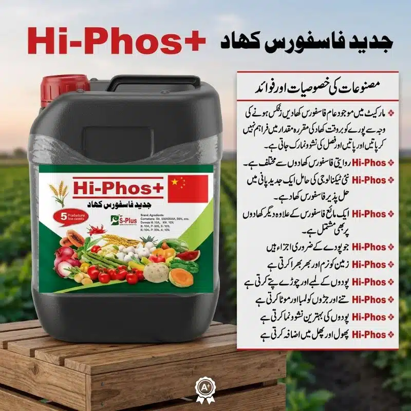 Hi-Phos+ Liquid Phosphorus Fertilizer in Pakistan – Stronger Roots, More Flowers & Fruit 1 Hi-Phos+ liquid phosphorus fertilizer in Pakistan – advanced water-soluble phosphorus formula by Al Raza Crop Sciences for stronger roots and more fruit