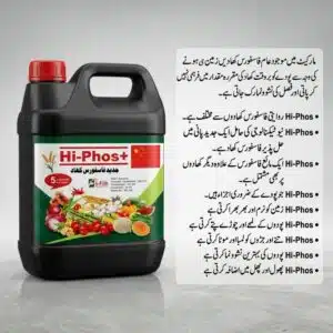 Hi-Phos+ Liquid Phosphorus Fertilizer in Pakistan – Stronger Roots, More Flowers & Fruit 6 Hi-Phos+ liquid phosphorus fertilizer in Pakistan applied on wheat, cotton, vegetables and fruit orchards for maximum nutrient uptake