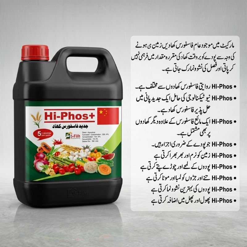 Hi-Phos+ Liquid Phosphorus Fertilizer in Pakistan – Stronger Roots, More Flowers & Fruit 10 Hi-Phos+ liquid phosphorus fertilizer in Pakistan applied on wheat, cotton, vegetables and fruit orchards for maximum nutrient uptake