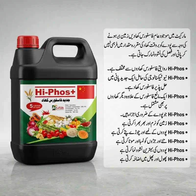 Hi-Phos+ Liquid Phosphorus Fertilizer in Pakistan – Stronger Roots, More Flowers & Fruit 10 Hi-Phos+ liquid phosphorus fertilizer in Pakistan applied on wheat, cotton, vegetables and fruit orchards for maximum nutrient uptake
