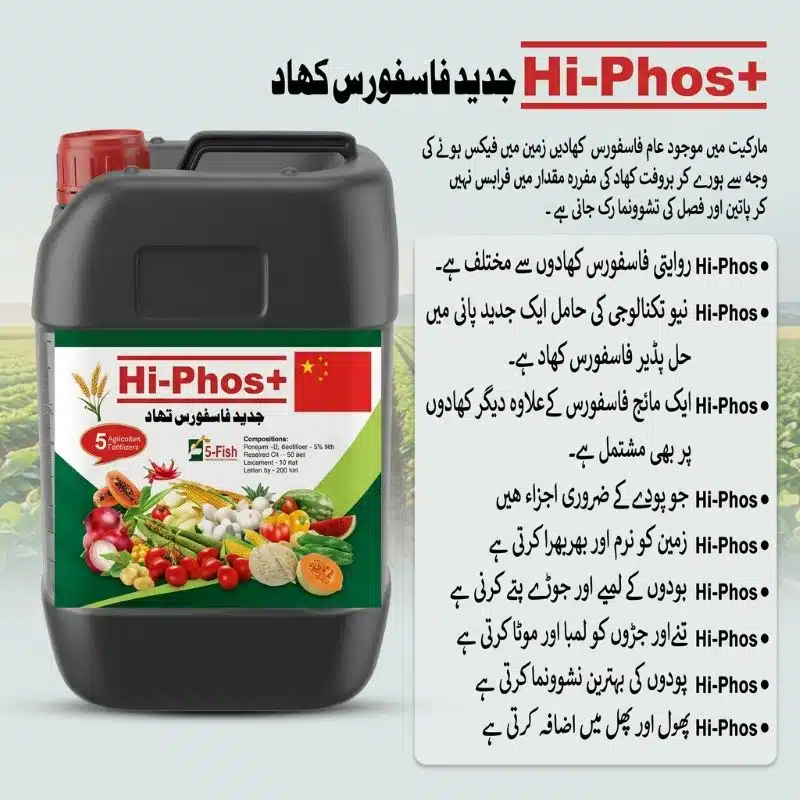 Hi-Phos+ Liquid Phosphorus Fertilizer in Pakistan – Stronger Roots, More Flowers & Fruit 9 Results of liquid phosphorus fertilizer in Pakistan – Hi-Phos+ dramatically increases flower count, fruit size and crop yield