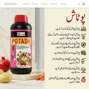 Homepage 14 Premium liquid potassium fertilizer in Pakistan Al Rasa brand 1 litre potash for maximum crop yield and quality