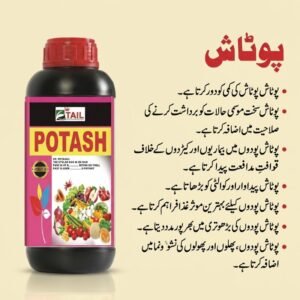 Liquid potassium fertilizer in Pakistan applied on tomatoes cotton wheat mango and all major crops for bigger fruits and higher yield
