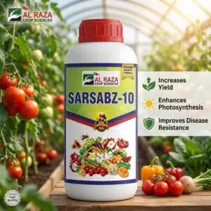 Homepage 24 Before and after results of using Sarsabz-10 micronutrient fertilizer – higher yield and greener crops in Pakistan