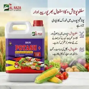 Sulfo Potash fertilizer in Pakistan – 3 litre liquid bottle by Al Raza Crop Sciences for improved crop yield and fruit quality
