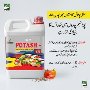 Sulfo Potash Fertilizer in Pakistan – Boosts Fruit Quality & Crop Yield 9 Sulfo Potash fertilizer in Pakistan applied as foliar spray on vegetables and fruit crops for fast potassium absorption